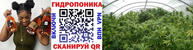 Бошки марихуана Ganja  Купить где  Сызрань 